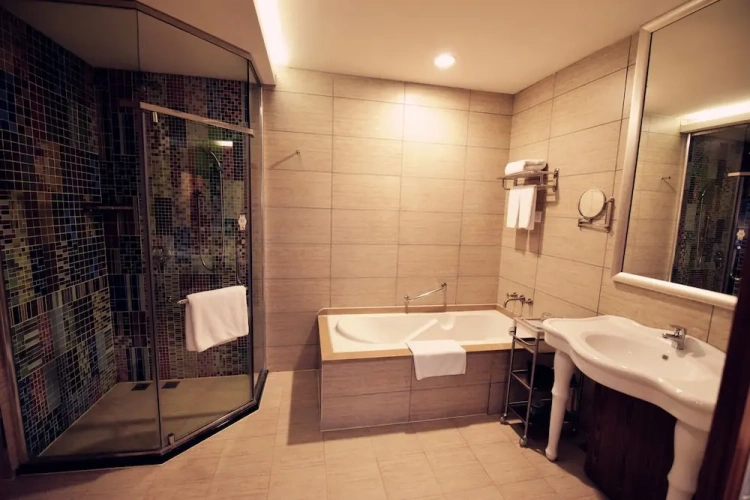1 Bedroom Luxury Attic Apartment