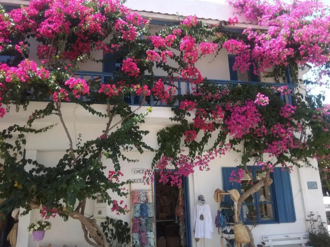 Chez Cecile Home