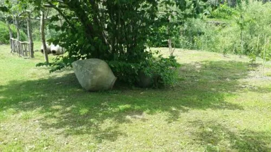 By The Wood
