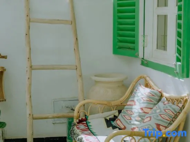 Muse Cafe Guesthouse
