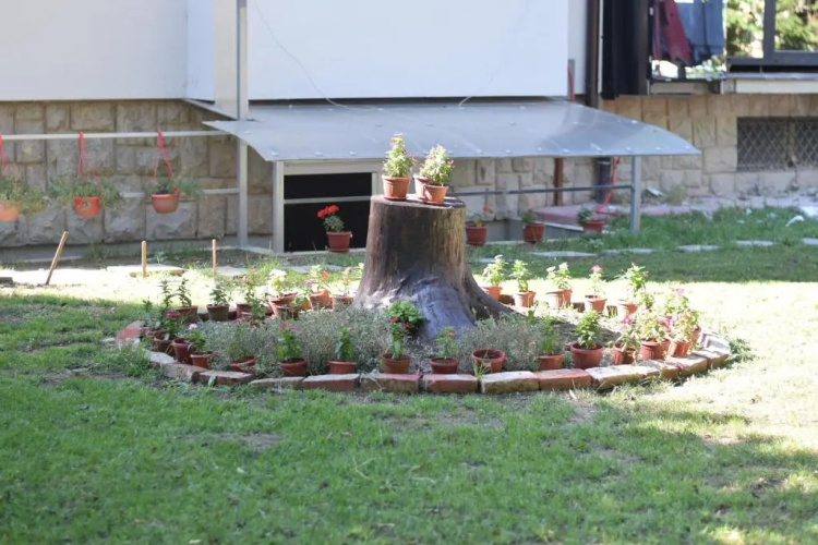 Studio Apartman Una