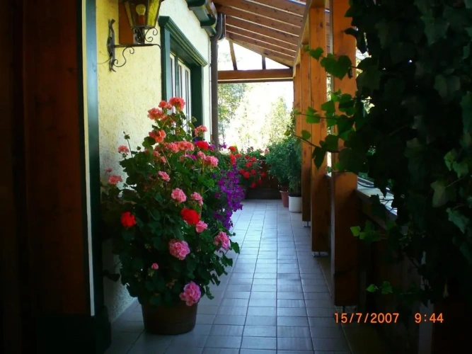 Standard Single room with balcony