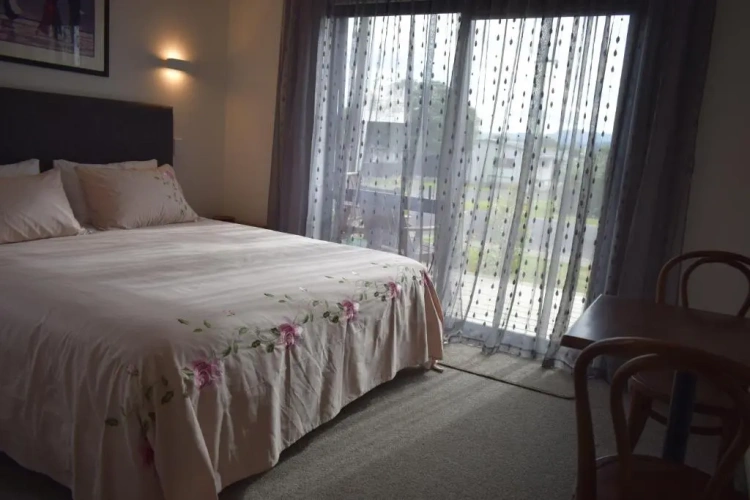 Standard Double room with park view