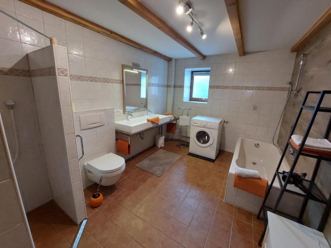 Basement Apartment