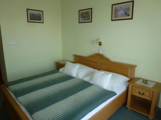 Standard Double room with balcony
