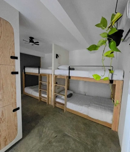 Bed in Dorm (female dorm)