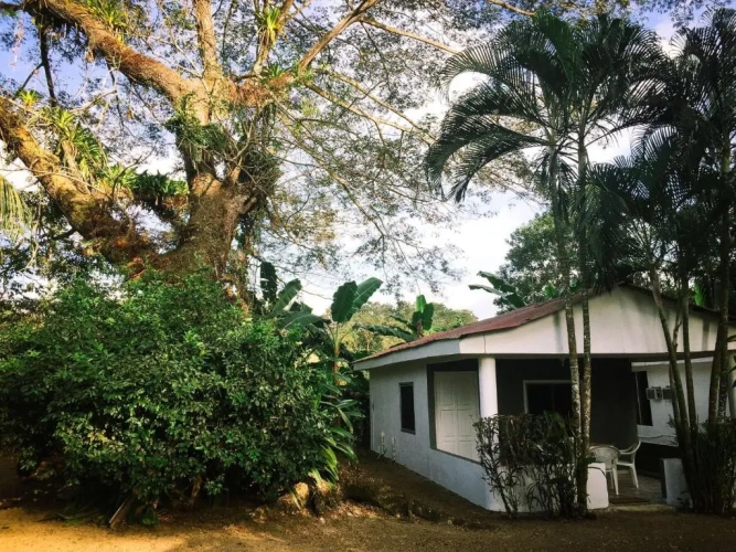1 Bedroom Bungalow