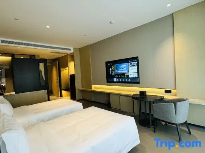 Executive Twin room