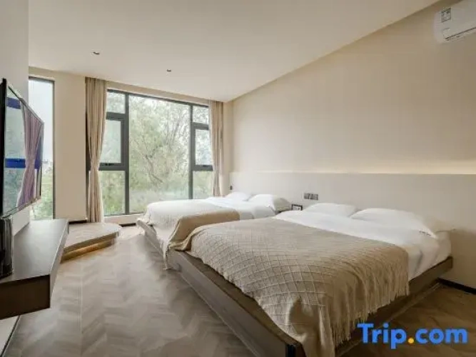 Comfort Twin room