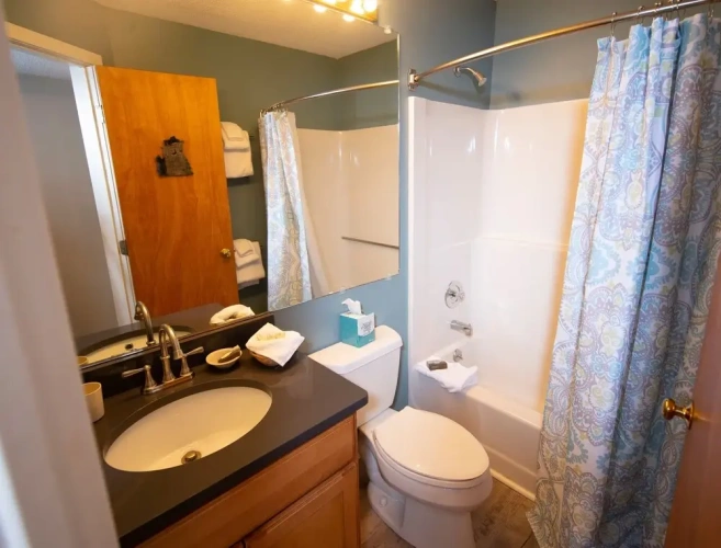 1 Bedroom Standard room