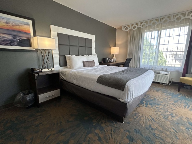 Standard Double room
