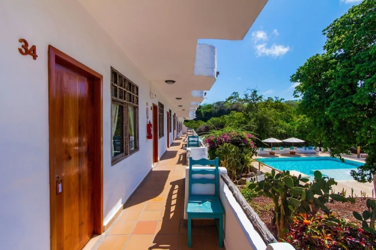 Standard Double room with view