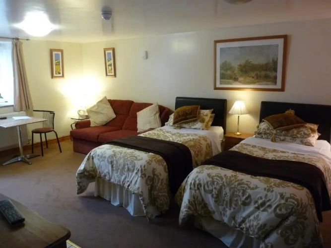 Standard Twin room with view