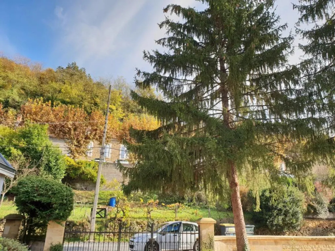 Studio Fontaine d’amour