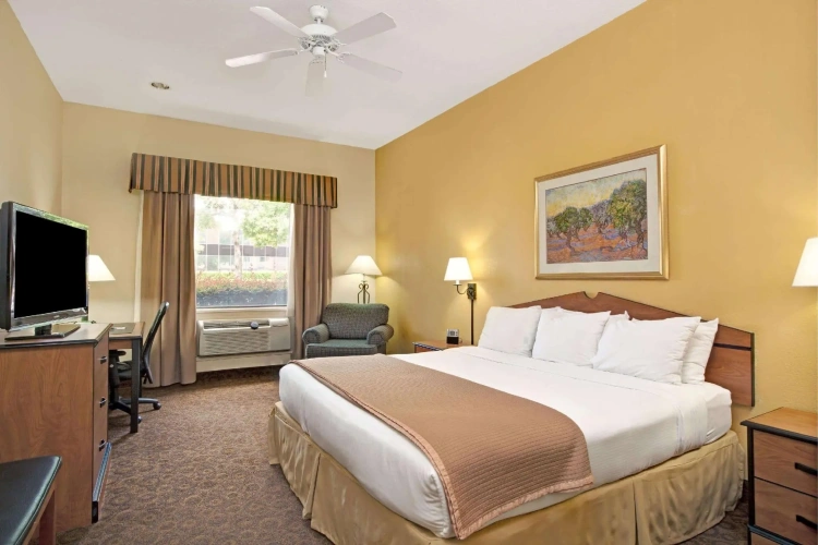 1 Bedroom Double Suite