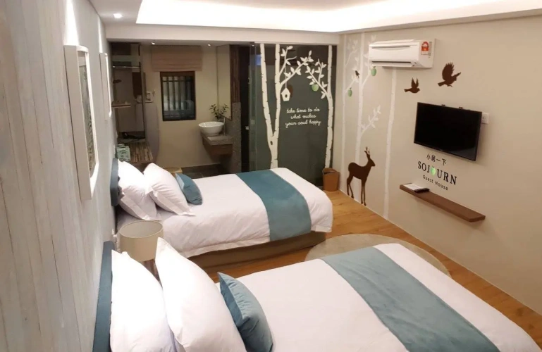 Deluxe Twin room