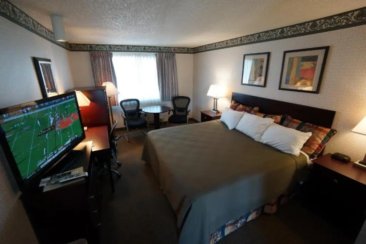 Standard room with view
