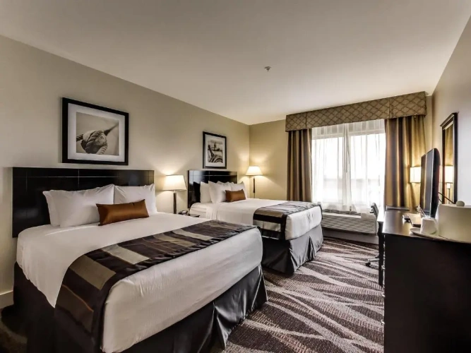 Premium Quadruple room