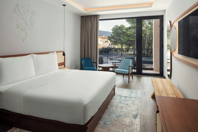 Standard Double room with balcony and with sea view