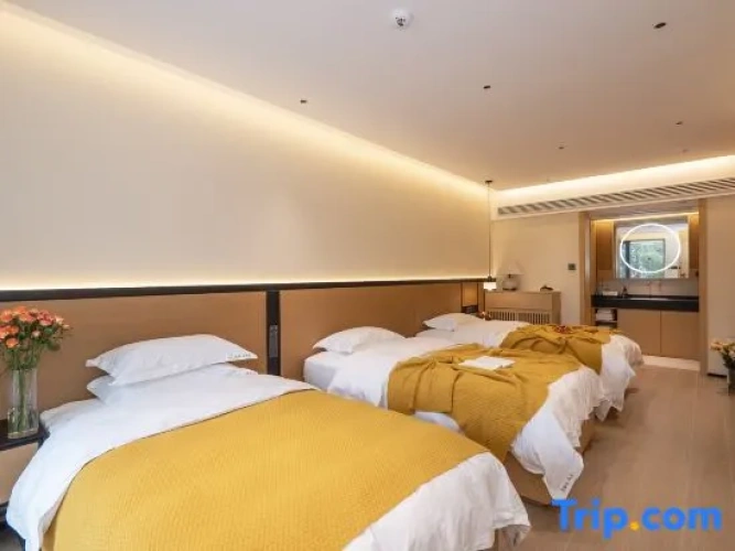 Deluxe Triple room