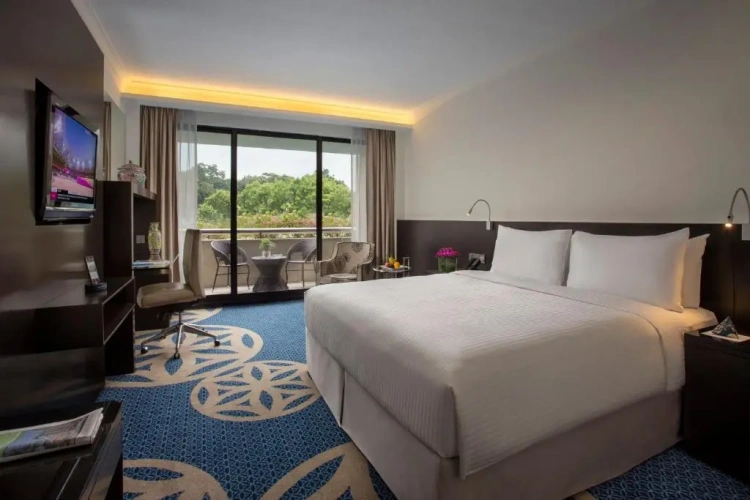 Deluxe Double room with balcony