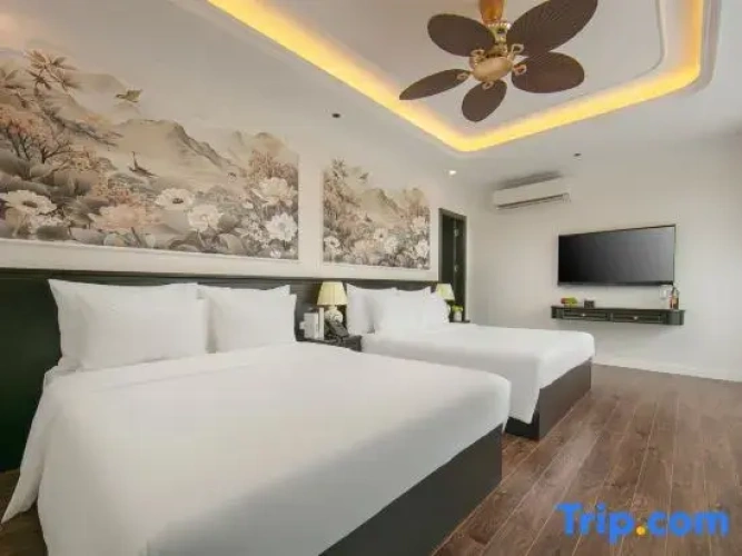 Deluxe Double room with city view