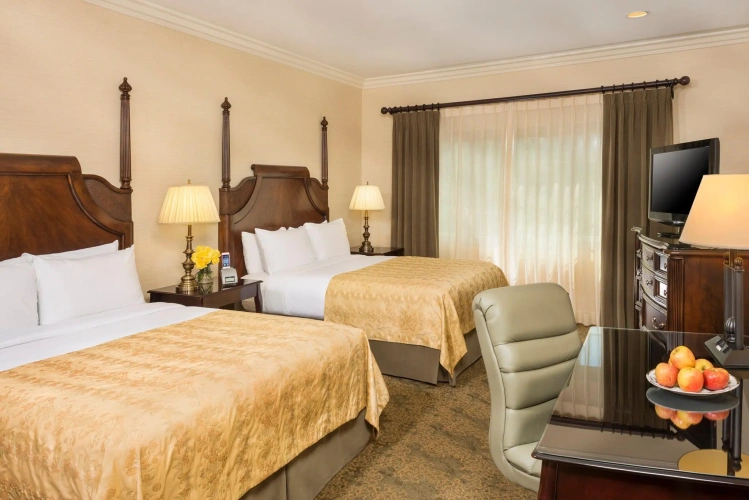 Double Suite