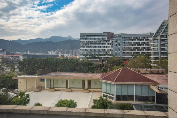 Deluxe Double room with mountain view