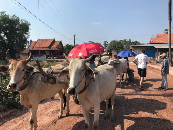 Madam Sokha Homesteading
