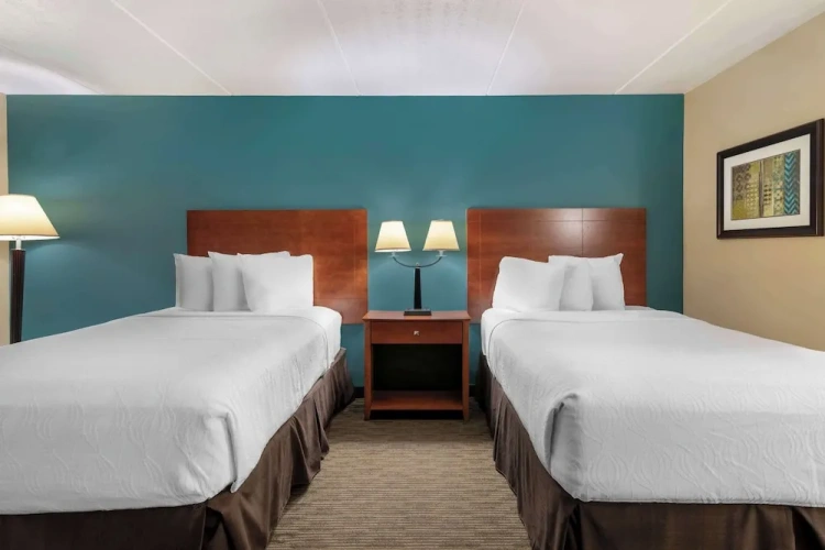 1 Bedroom Standard Double room