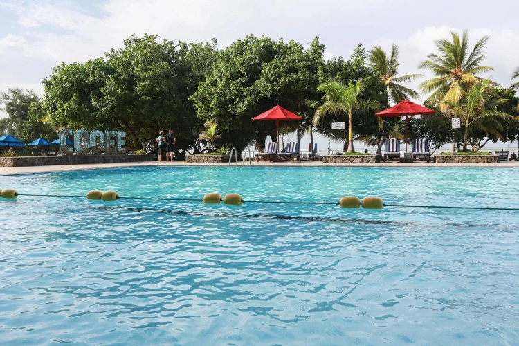 The Palms