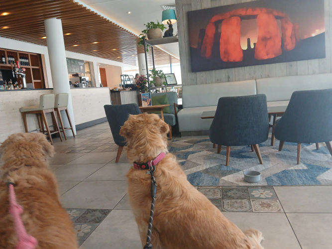 Holiday Inn Salisbury - Stonehenge photo 19