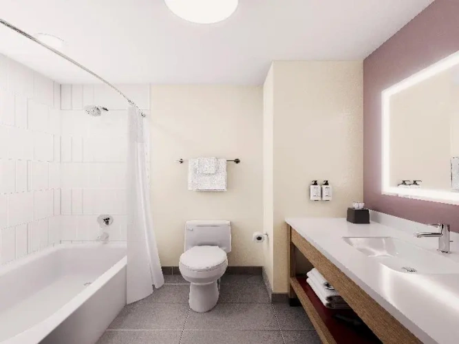 1 Bedroom Suite