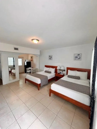 Deluxe Quadruple Studio with view