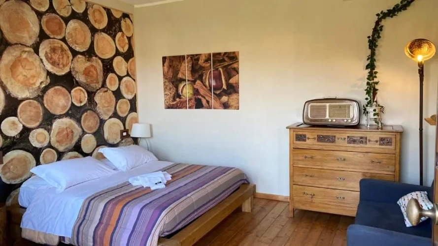 Standard Double room with view