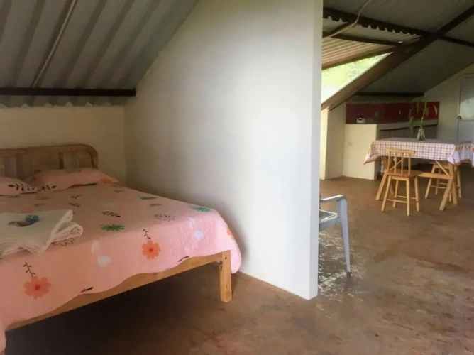 Comfort Double Suite with garden view