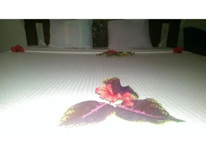 Standard Double room with balcony and with garden view