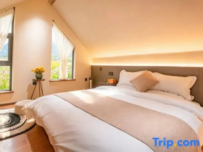 Standard Double room with view