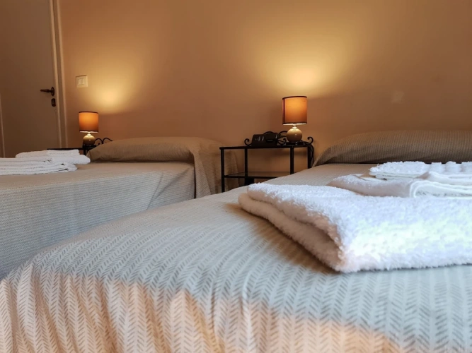 Standard Twin room