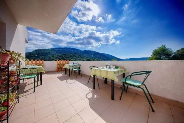 1 Bedroom Superior Apartment