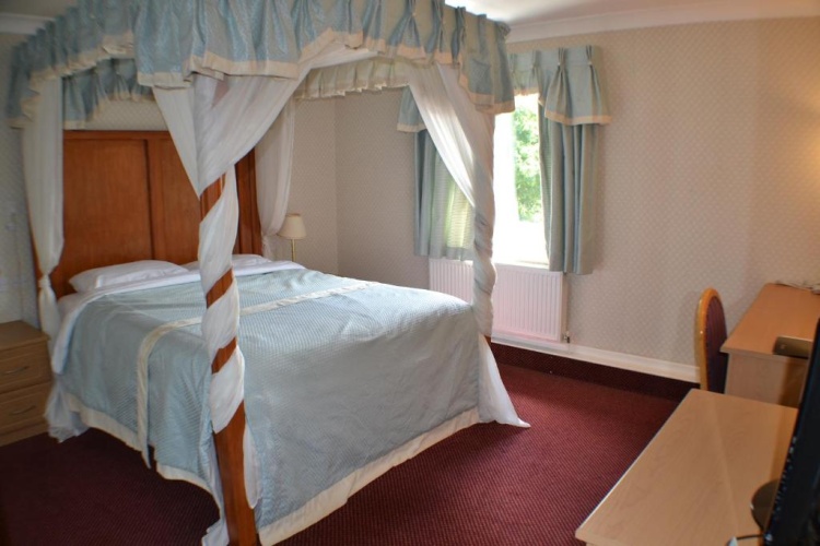 Standard Suite