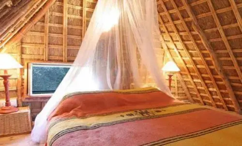 Casas Karen
