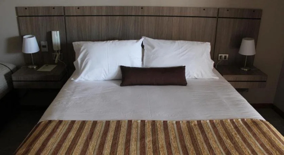 Hotel San Borja
