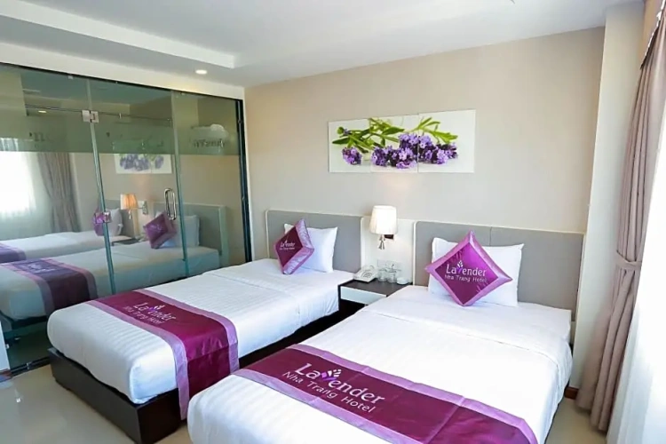 Deluxe Twin room with land view