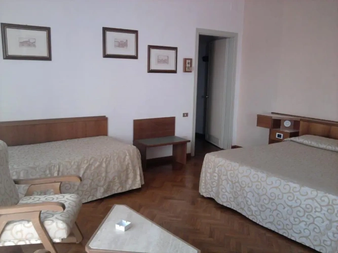 Standard Triple room with park view