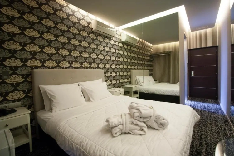 Standard Double room with balcony and with view