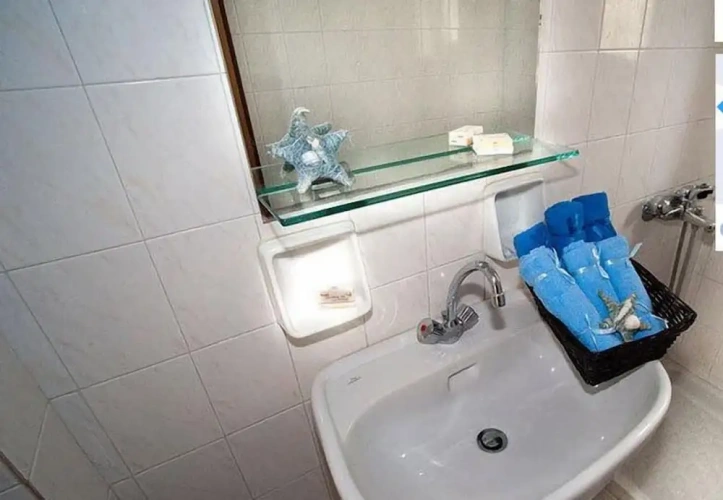 1 Bedroom Classic Double room with balcony and with garden view