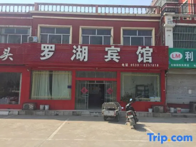 Linyi Luohu Hotel