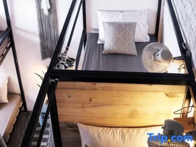 Bed in Dorm