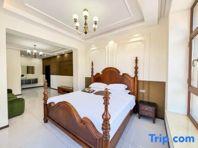 Deluxe Double Suite with view